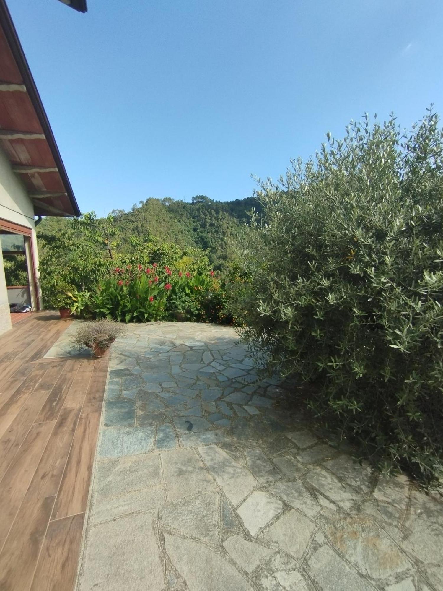 Villa Degli Ulivi Tivegna Eksteriør billede