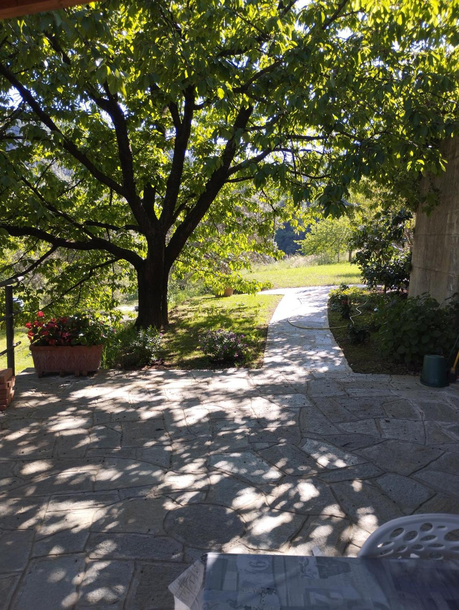 Villa Degli Ulivi Tivegna Eksteriør billede