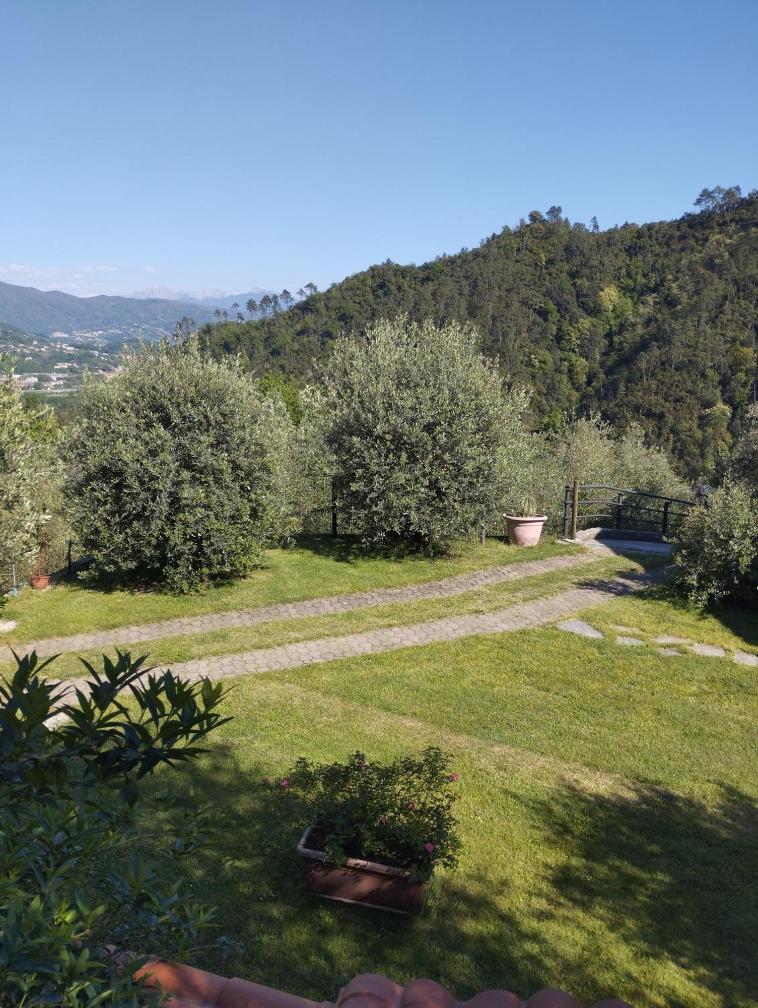 Villa Degli Ulivi Tivegna Eksteriør billede