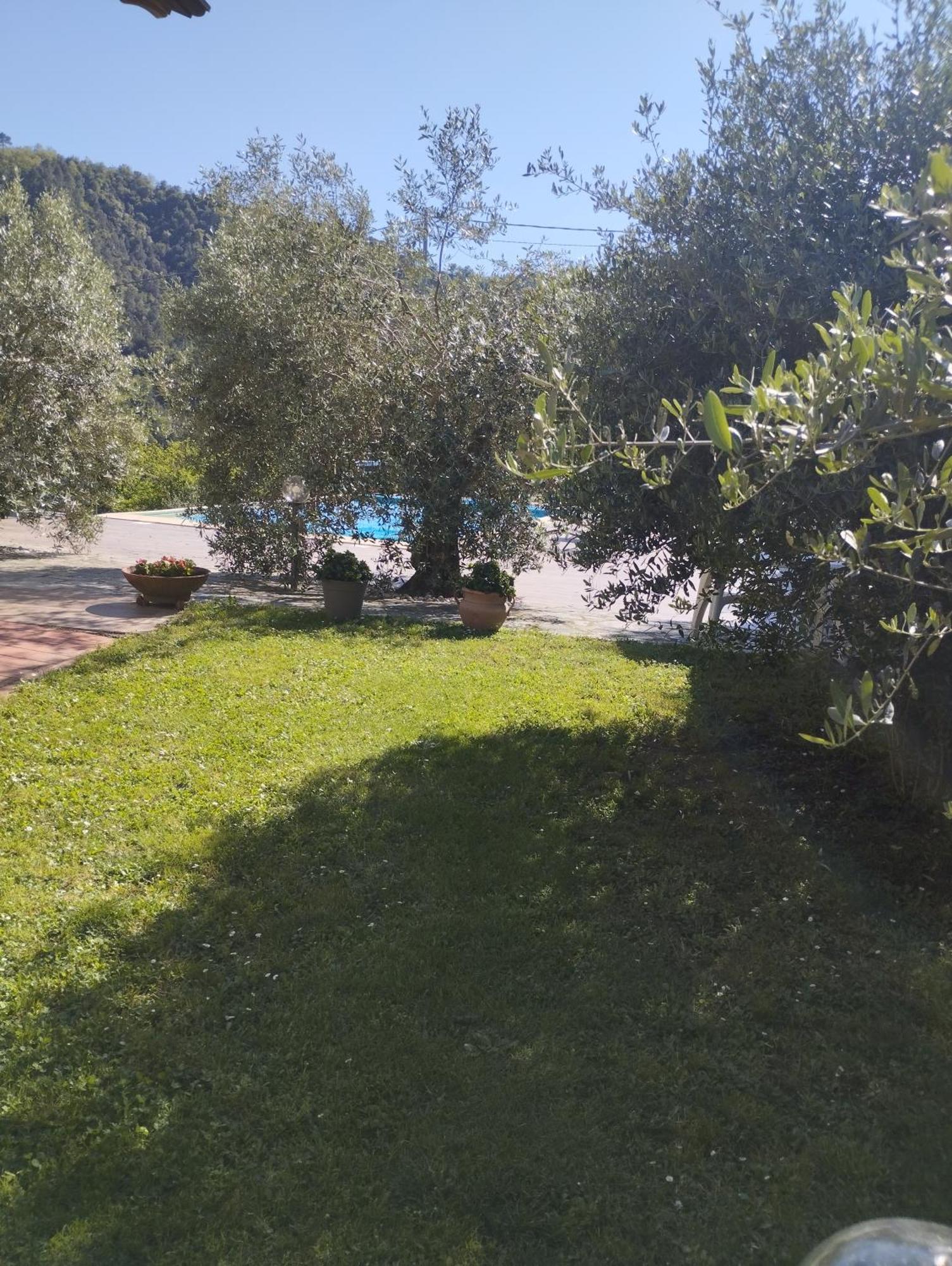 Villa Degli Ulivi Tivegna Eksteriør billede